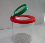 Insect box magnifier